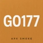 GO177 Game