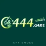 C444 Game