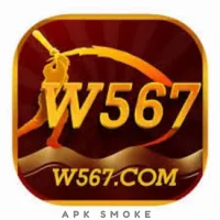 W567 Game
